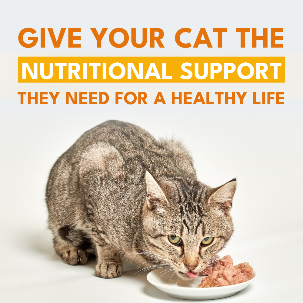 Petroyale Multivitamin Chews for Cats