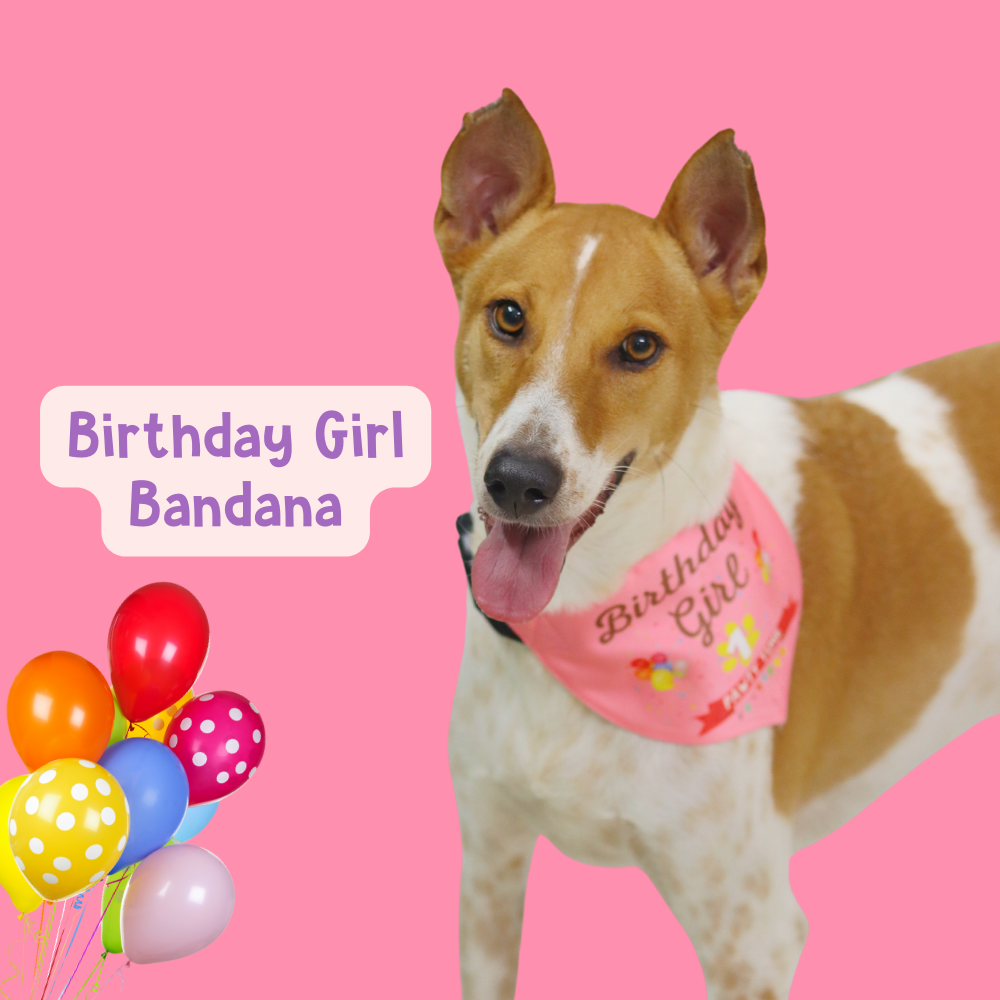 Barkday Bandana