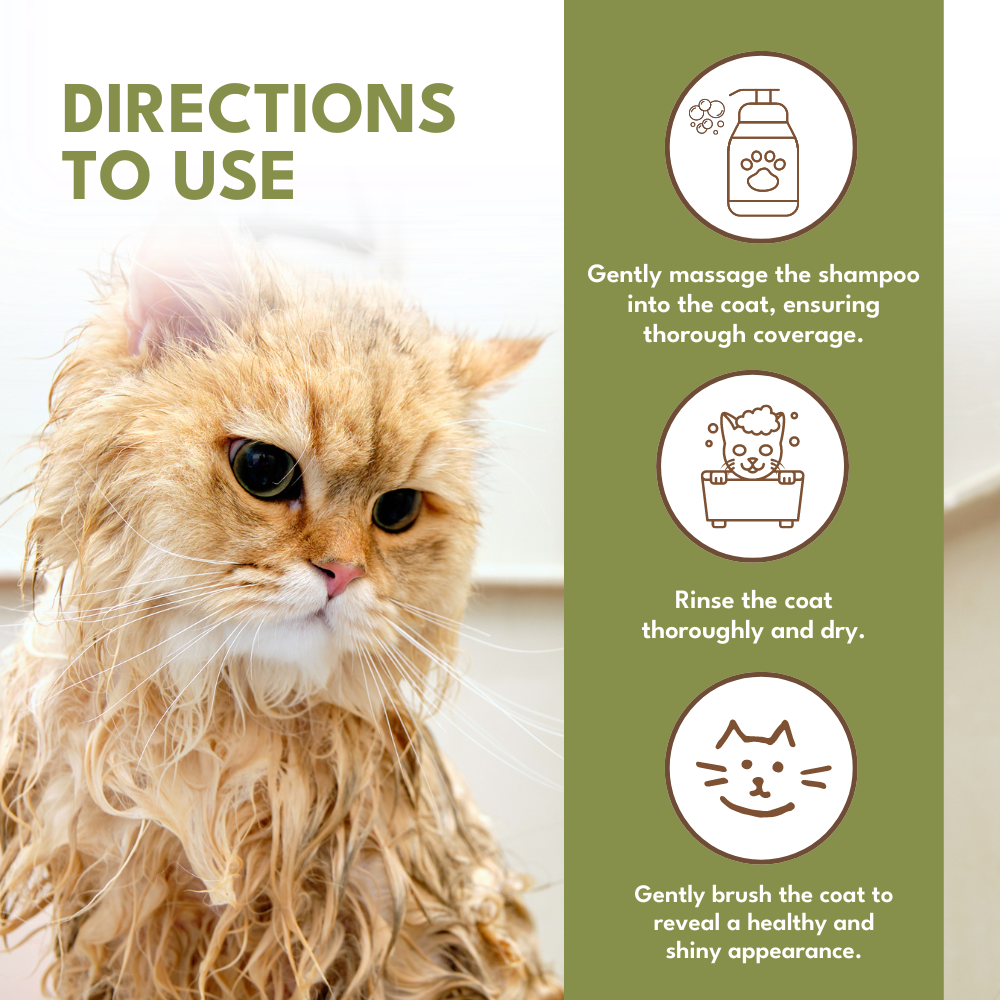 Petroyale Shampoo + Conditioner for Cats