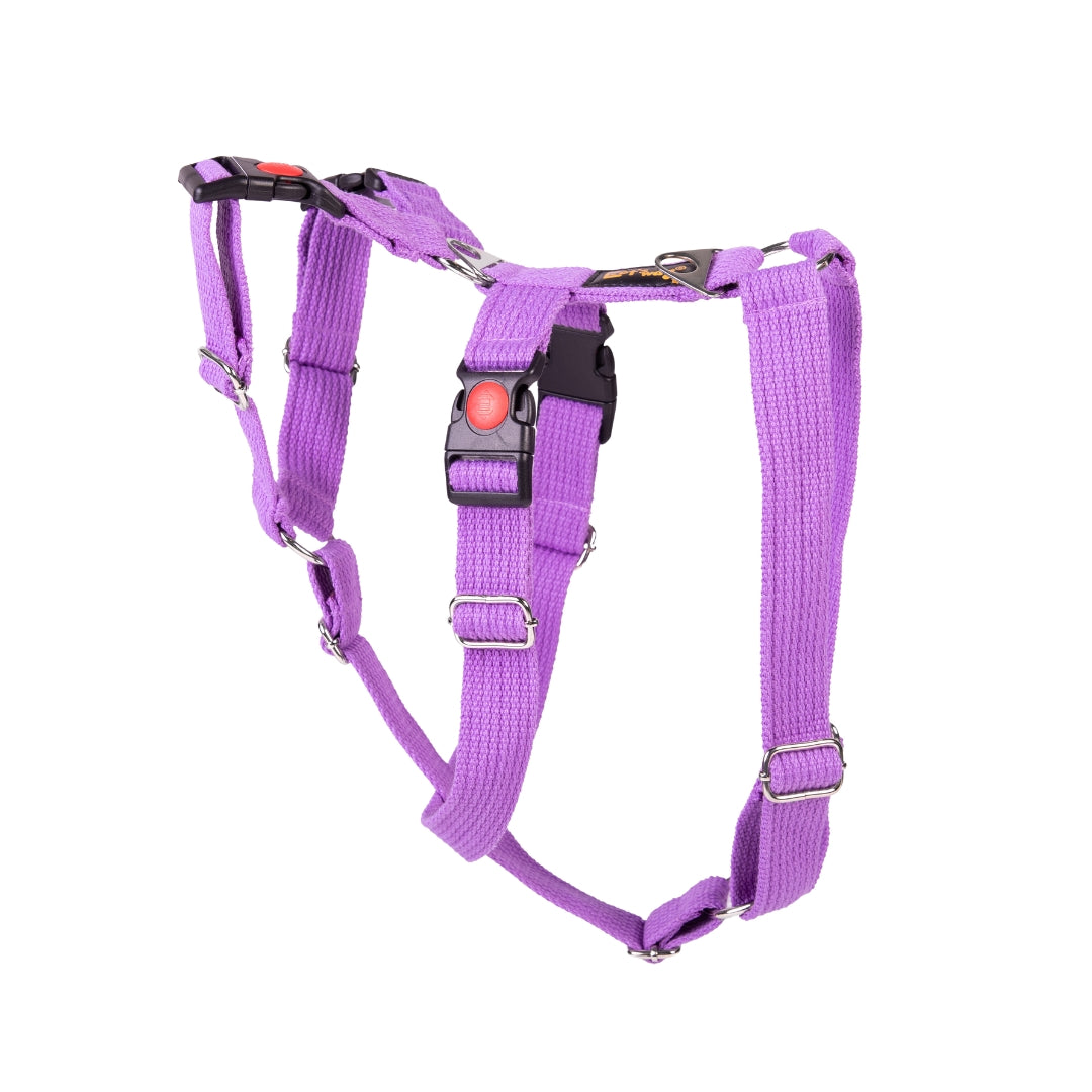 Let’s Wag Double H-Harness for Dogs