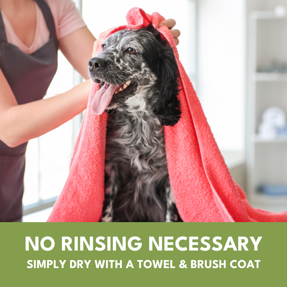 Petroyale Dry Bath Foam Shampoo for Dogs