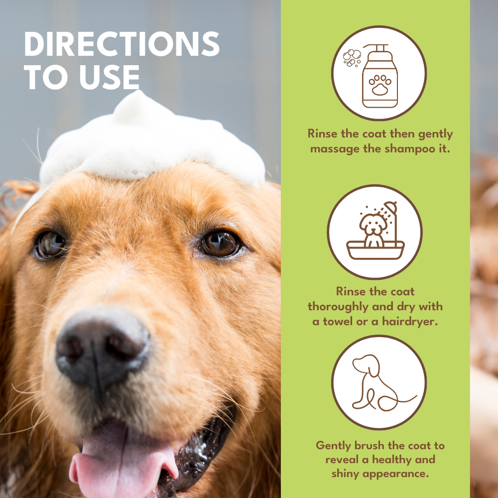 Petroyale Shampoo + Conditioner for Dogs