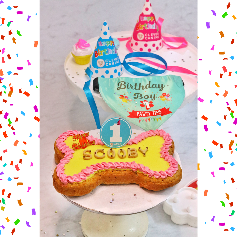 Pawty Time Celebration Hamper