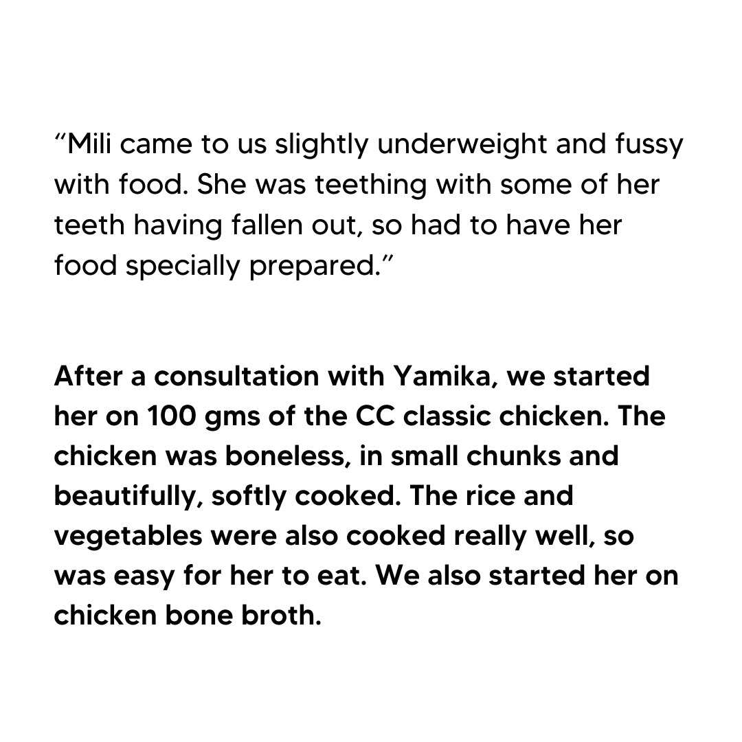 Custom Diet Chart Consultation for Adult Dogs