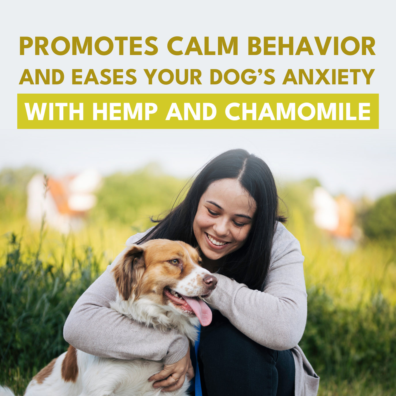 Petroyale Calming Chews for Dogs