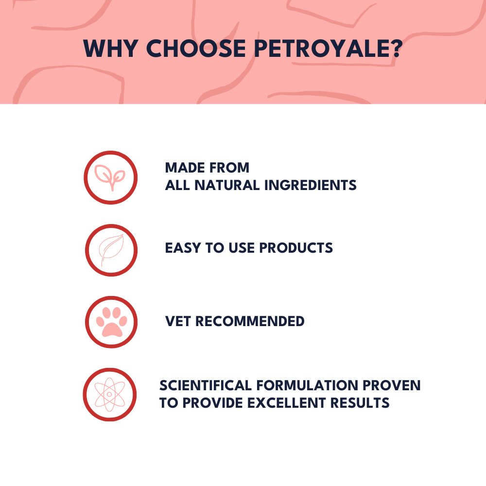 Petroyale Cranberry Chews for Dogs