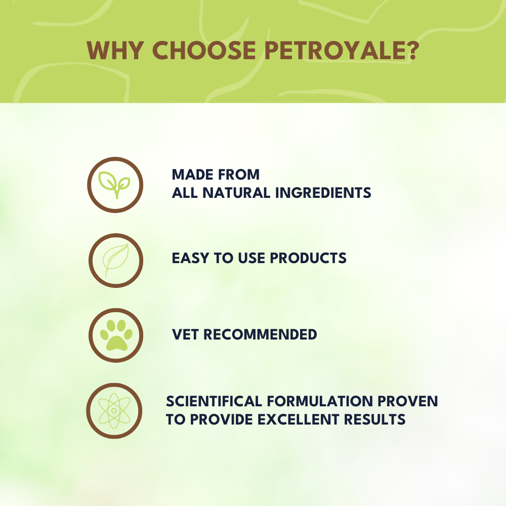 Petroyale Shampoo + Conditioner for Dogs