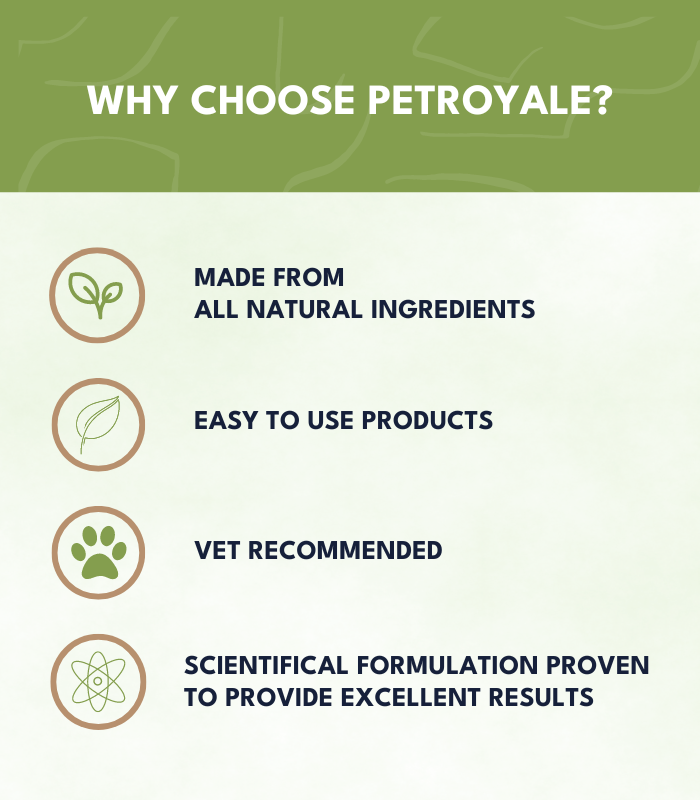 Petroyale Dry Bath Foam Shampoo for Dogs