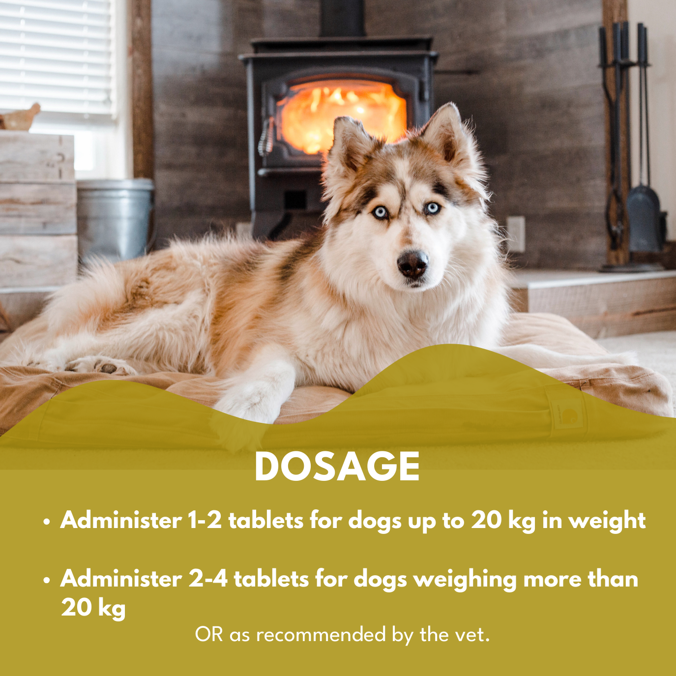 Petroyale Calming Chews for Dogs