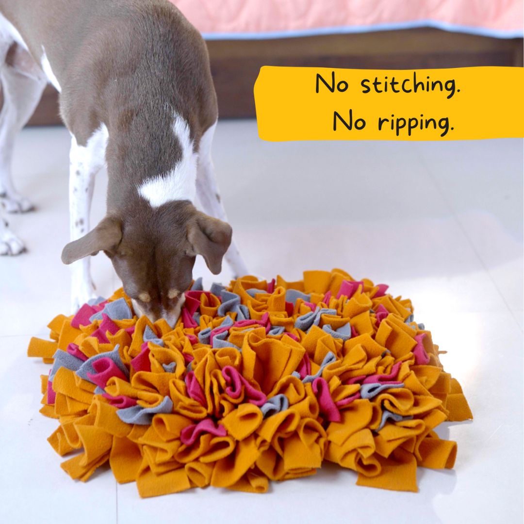 For The Love Of Dog Enrichment Toy for Dogs Sniffer Mat