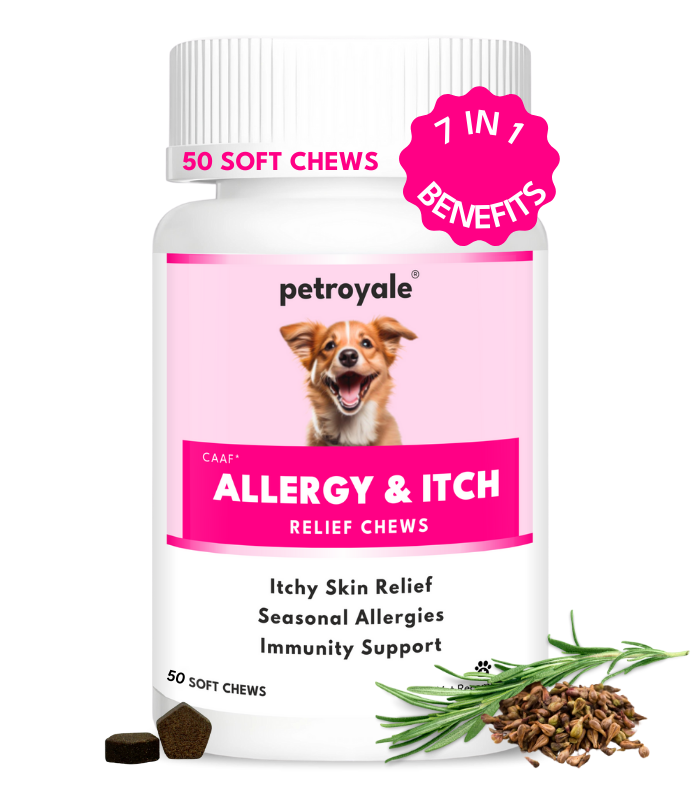 Petroyale Allergy+Itch Relief Chews for Dogs