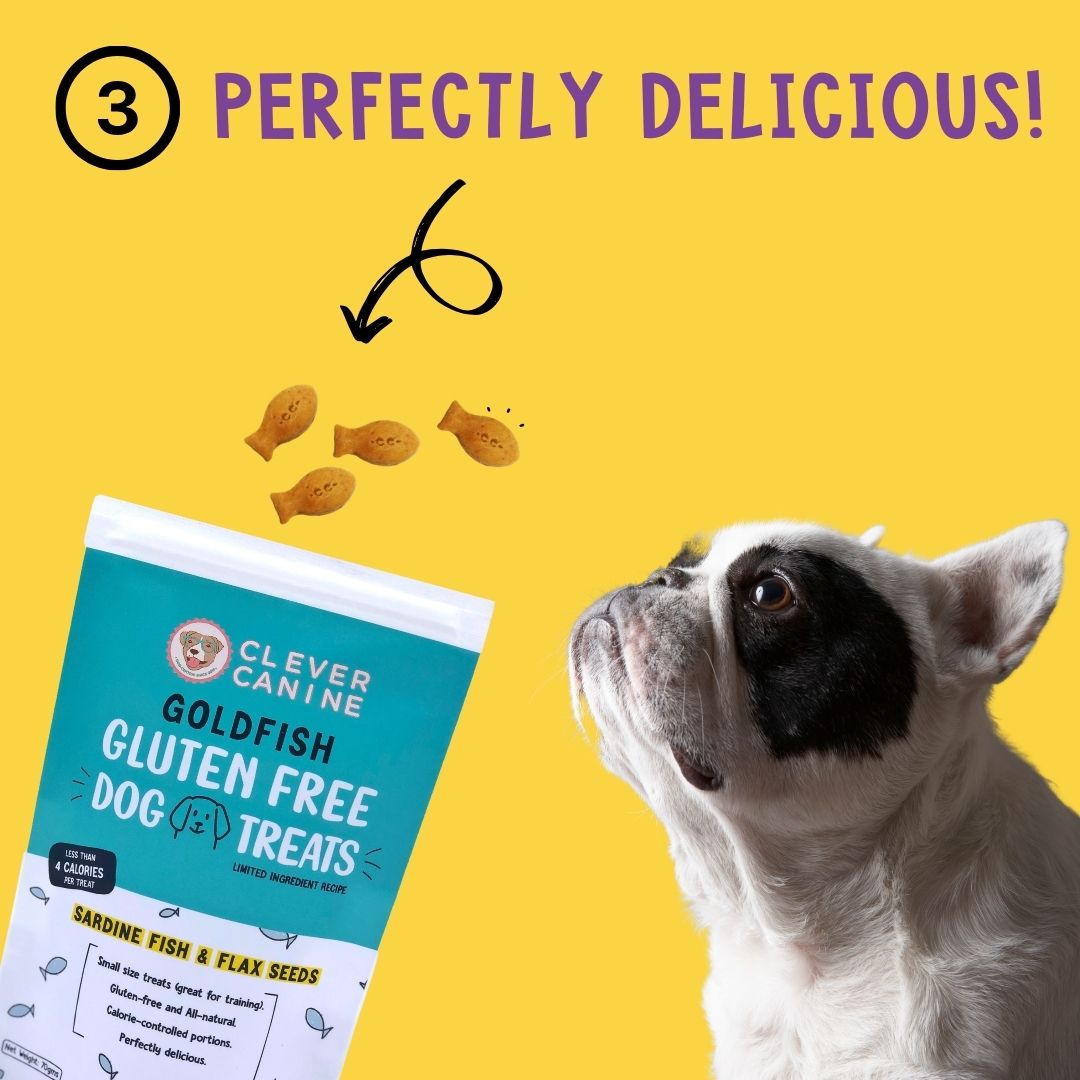 Clever Canine Calorie Controlled Gluten Free Dog Treats Snacker Bundle - Pack of 3