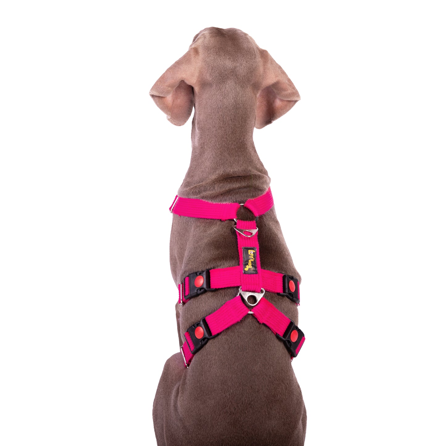 Let’s Wag Double H-Harness for Dogs