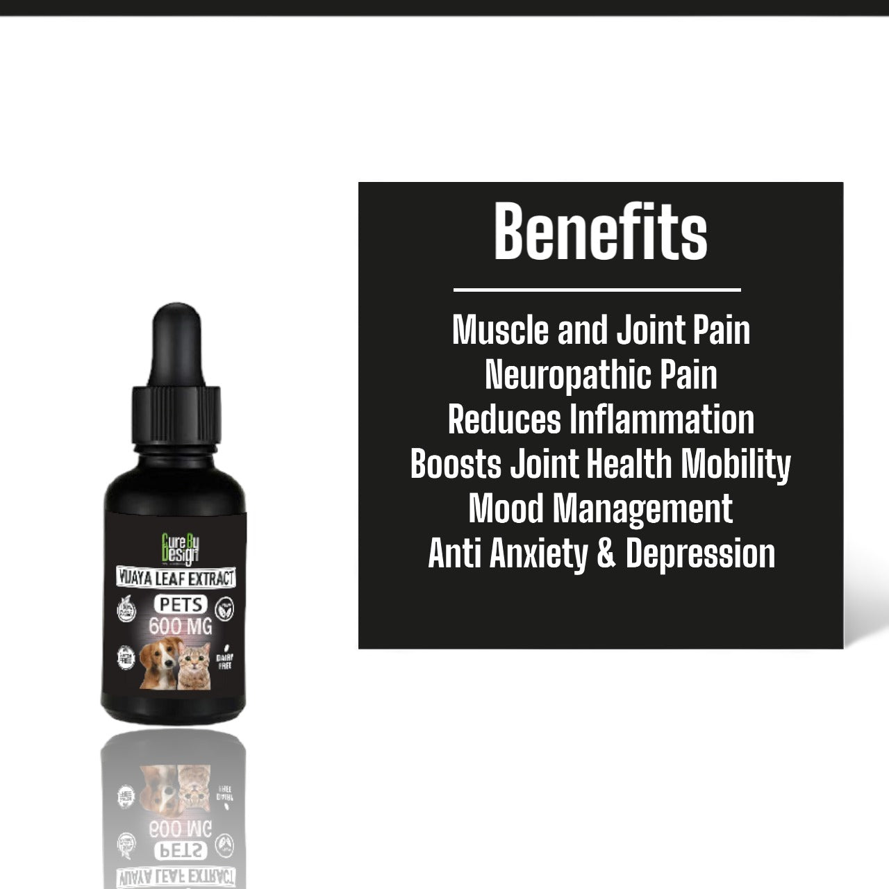 Cure By Design Vijaya for Dogs - Full Spectrum CBD - 600mg