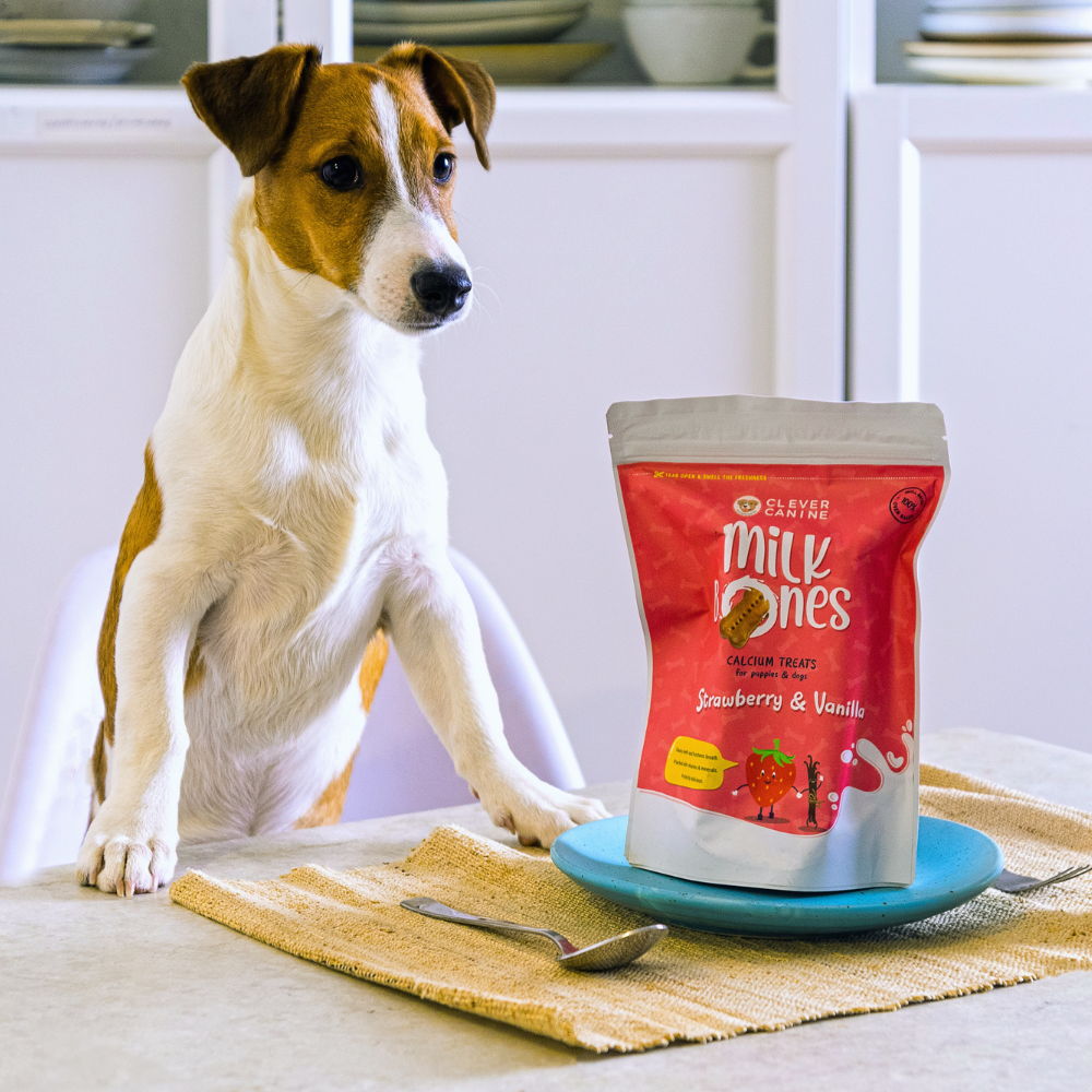 Calcium milk bone outlet for dogs and puppies