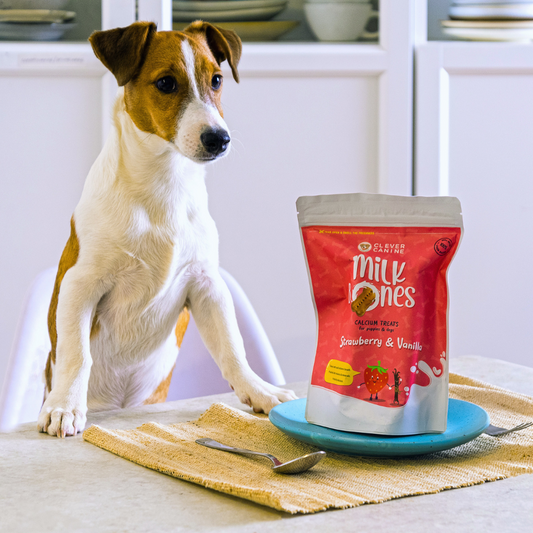 Clever Canine Milk Bones for Dogs - 200g