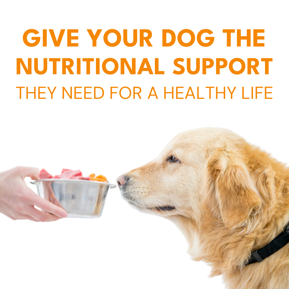 Petroyale Multivitamin Chews for Dogs