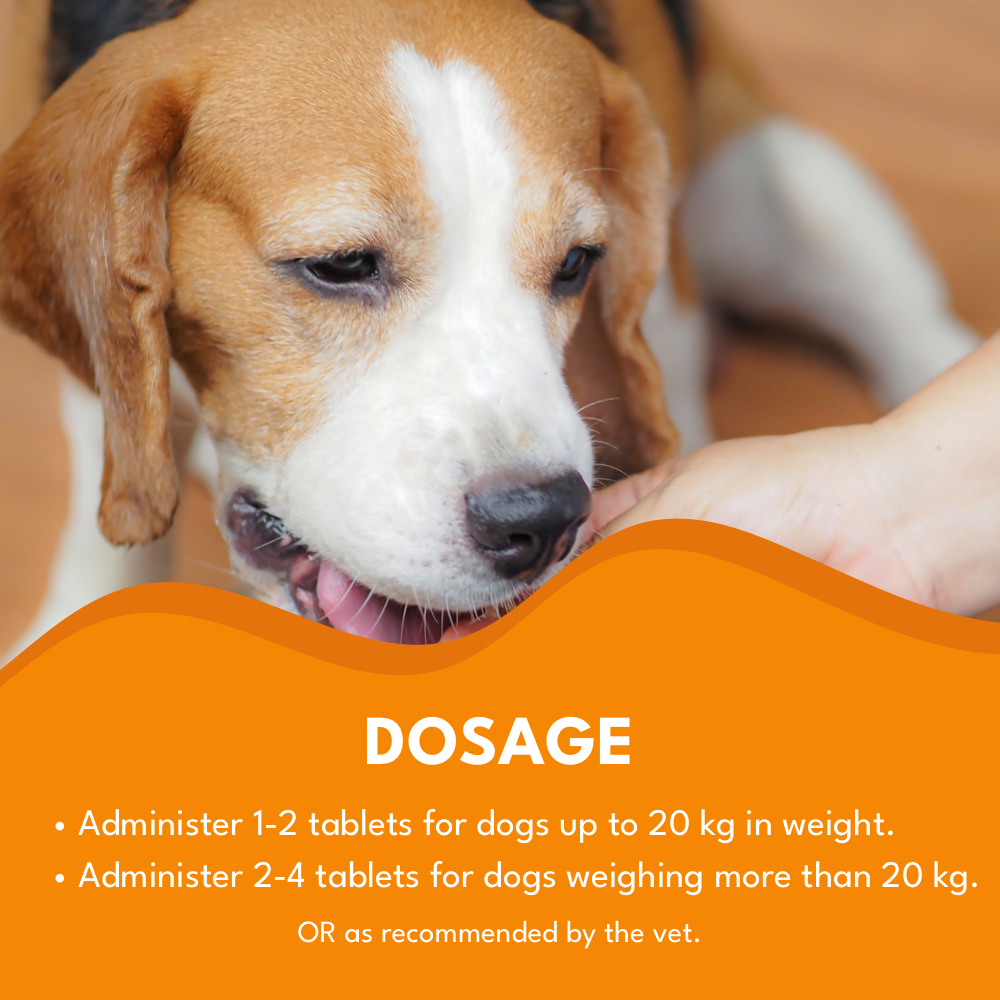 Petroyale Multivitamin Chews for Dogs