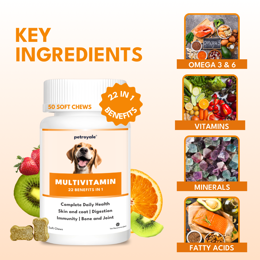 Petroyale Multivitamin Chews for Dogs