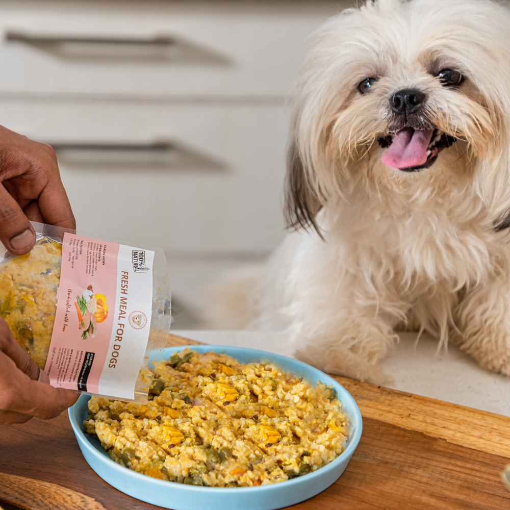 Healthy Homemade Organic Dog Food Recipe Homemade The Best Dog