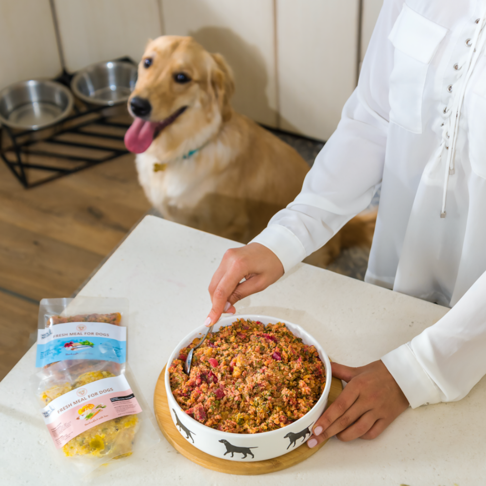 Clever Canine Balanced Bowl Starter Kit