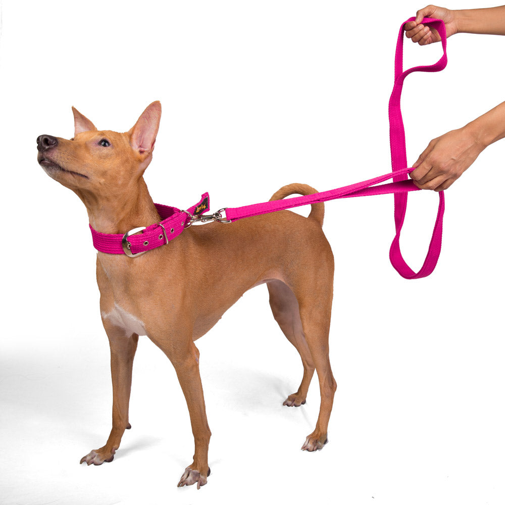 Let’s Wag Double Handle Leash for Dogs - Main Image