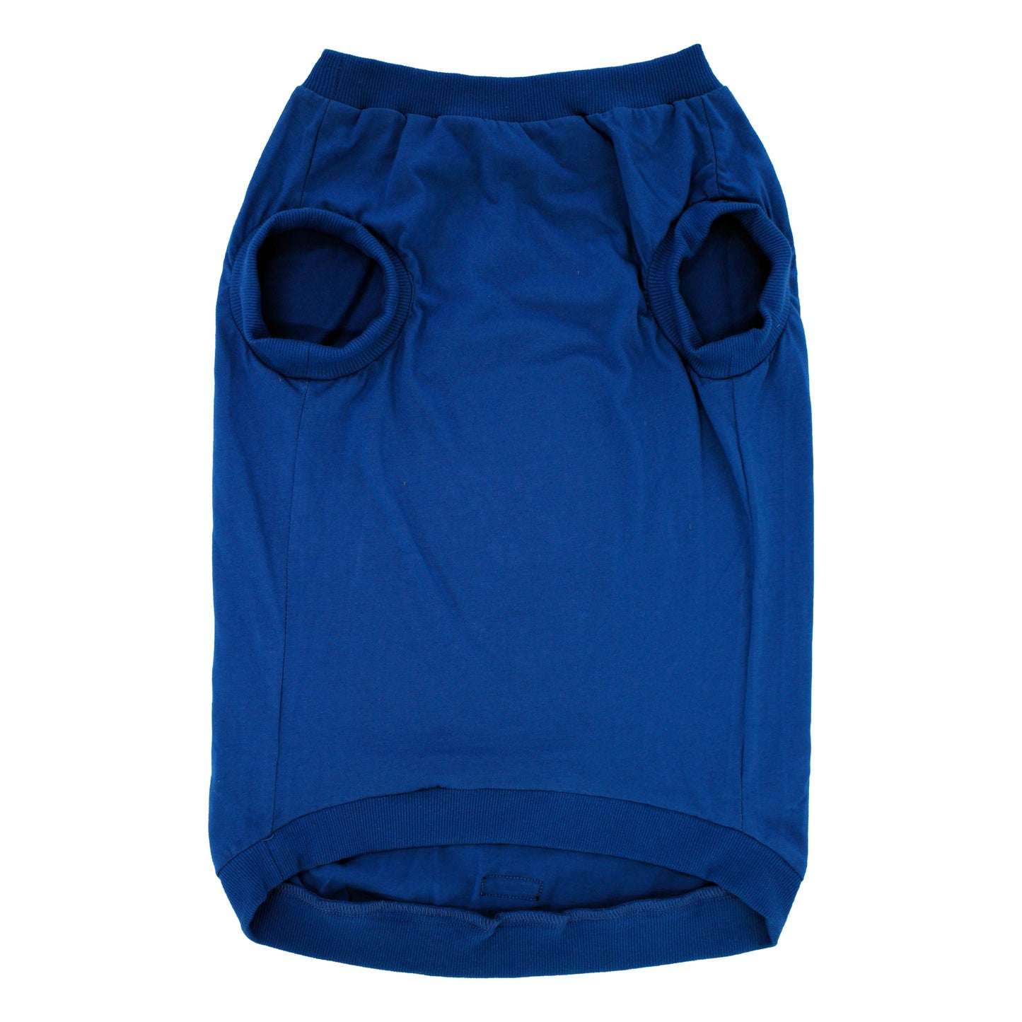 Pawpourri Tiny Influencer T-Shirt for Dogs - Blue