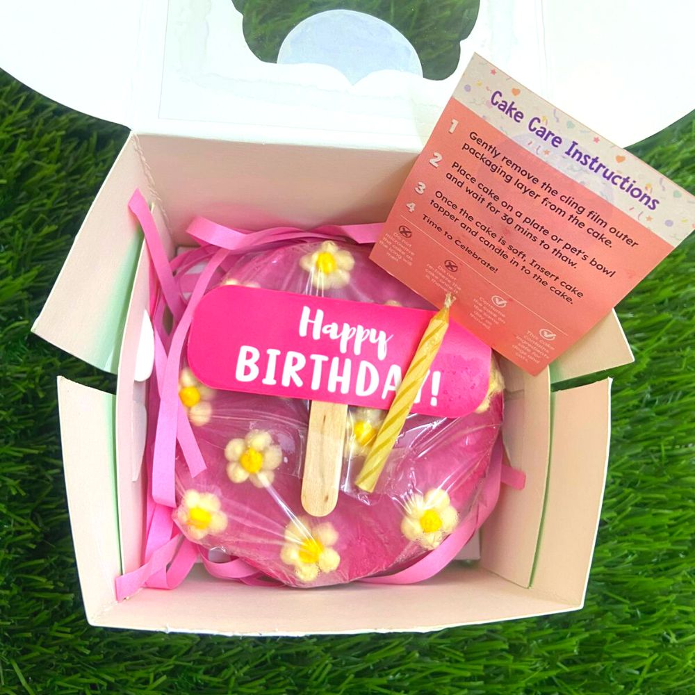 Clever Canine Cakes2Go Bento Cake for Dogs and Cats - Chicken Liver - 150g