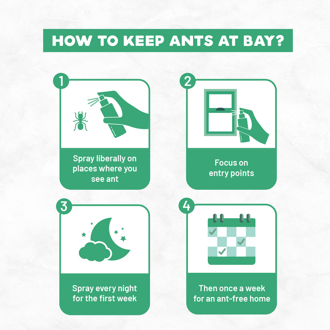Born Good Natural Insect Repellent Spray - 100ml