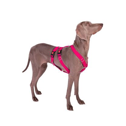 Let’s Wag Double H-Harness for Dogs