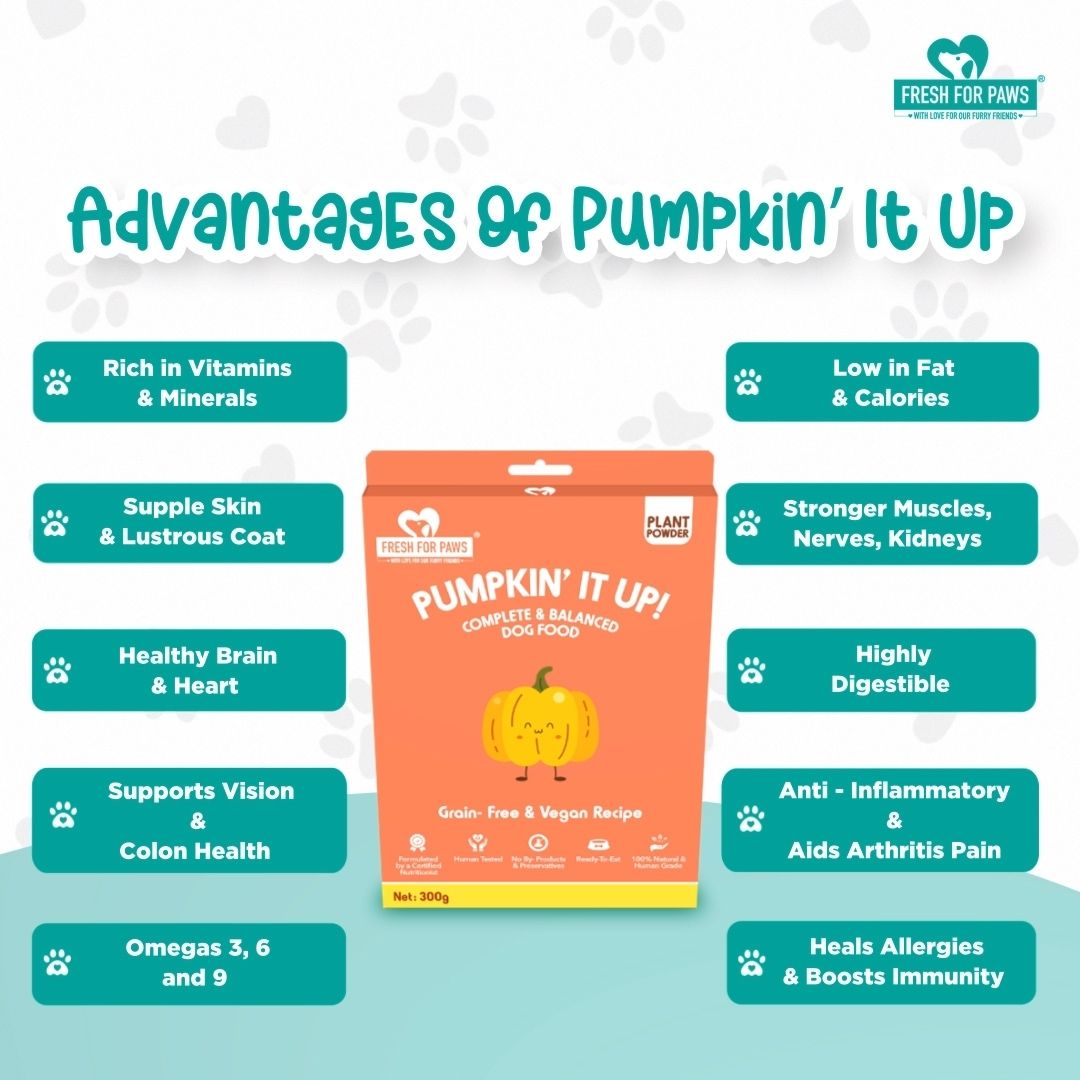 Fresh For Paws Wet Food for Dogs - Pumpkin' It Up