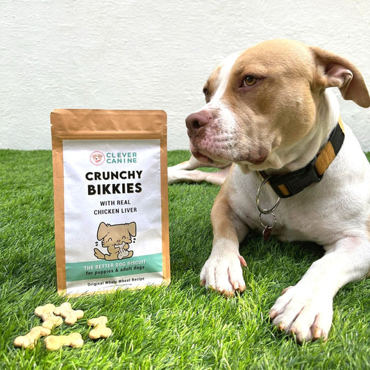 Crunchy Bikkies Dog Biscuits