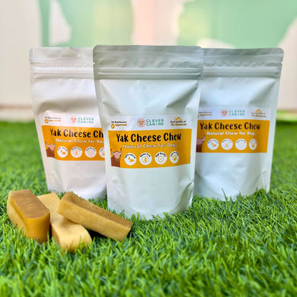 Clever Canine Yak Cheese Chew for Dogs