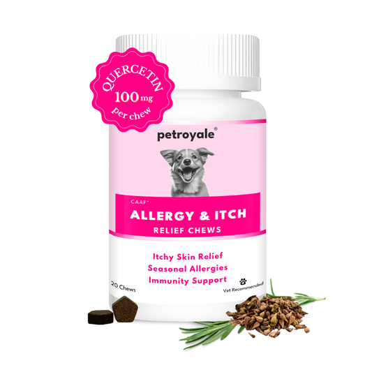 Allergy+Itch Relief Chews for Dogs