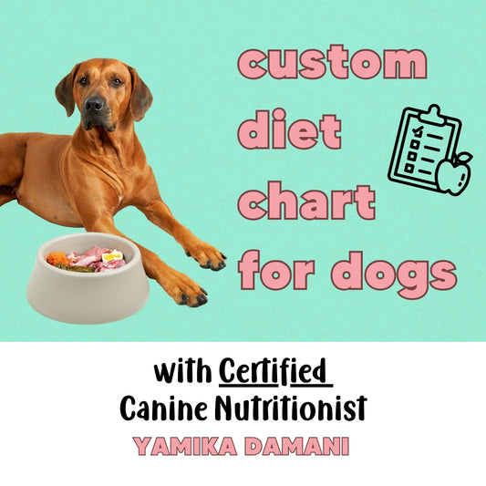 Custom Diet Chart Consultation for Adult Dogs