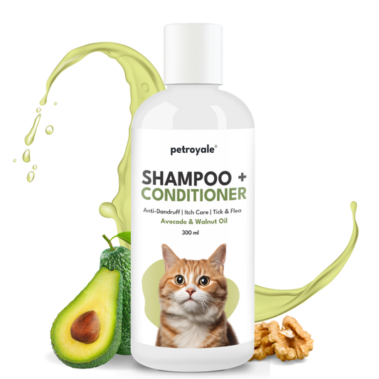 Shampoo + Conditioner for Cats