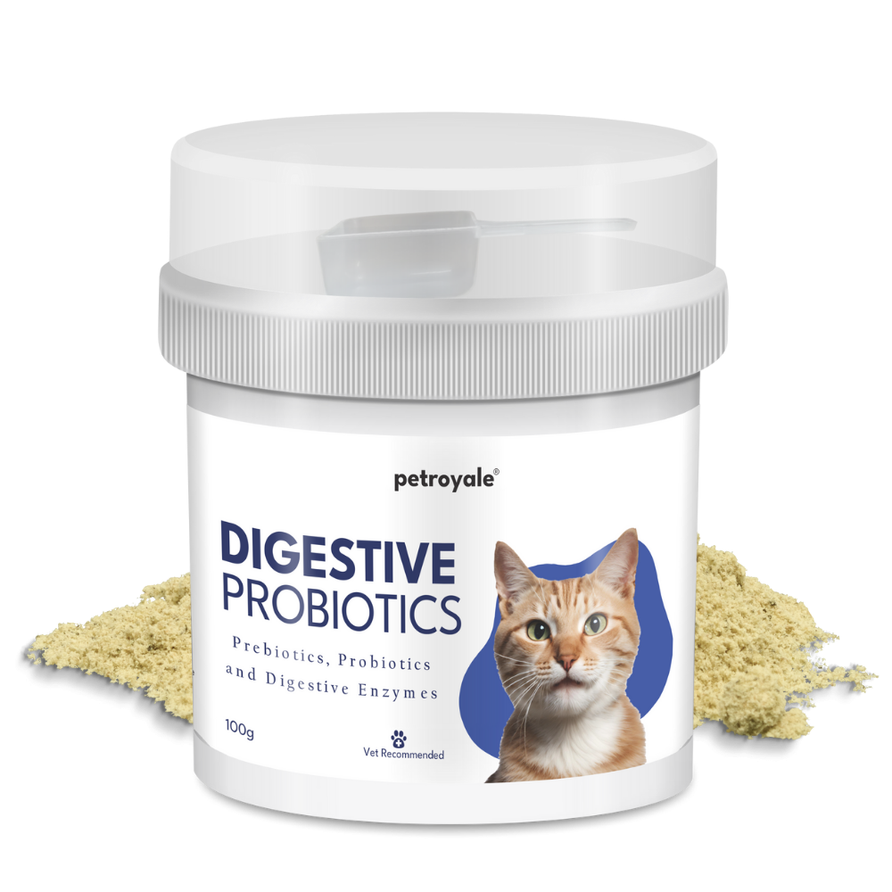 Digestive Probiotics for Cats