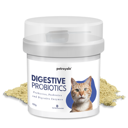 Digestive Probiotics for Cats