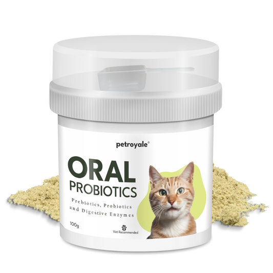 Oral Probiotics Supplement for Cats