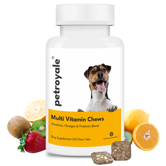 Multivitamin Chews for Dogs