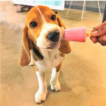 Clever Canine Frozen Yogurt for Dogs Assorted Flavours - Pack of 5