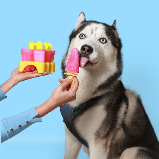 Lickin Licious Healthy Ice Cream for Dogs and Cats