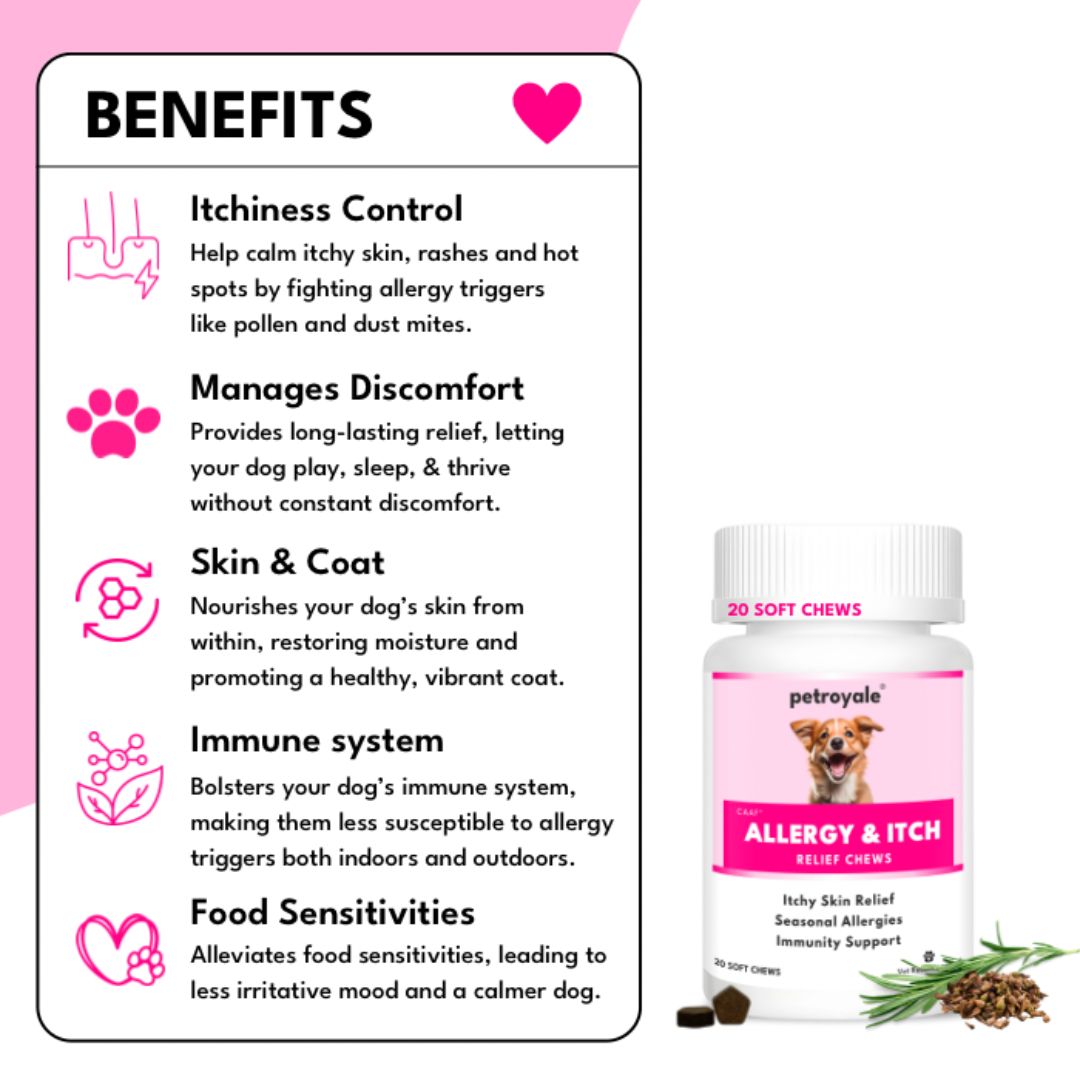 Petroyale Allergy+Itch Relief Chews for Dogs