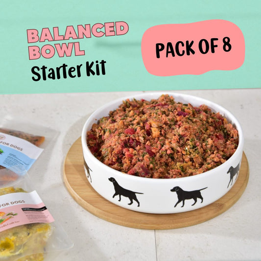 Clever Canine Balanced Bowl Starter Kit - Pack of 8