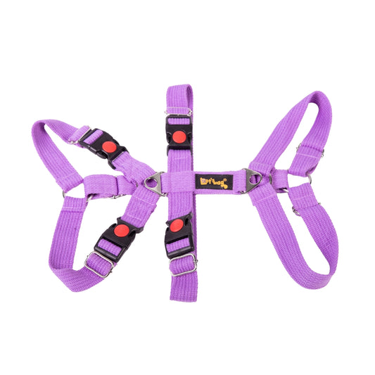 Let’s Wag Double H-Harness for Dogs