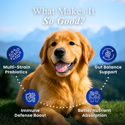 Petroyale Pre+Probiotic Soft Chews for Dogs - Complete Gastro Care