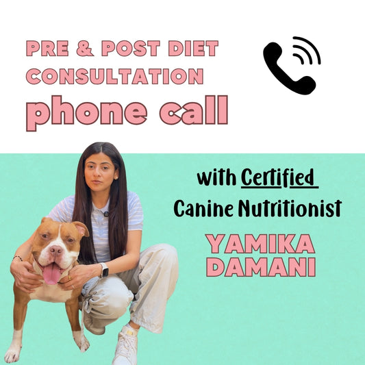 30min Phone Call with Canine Nutritionist Yamika Damani