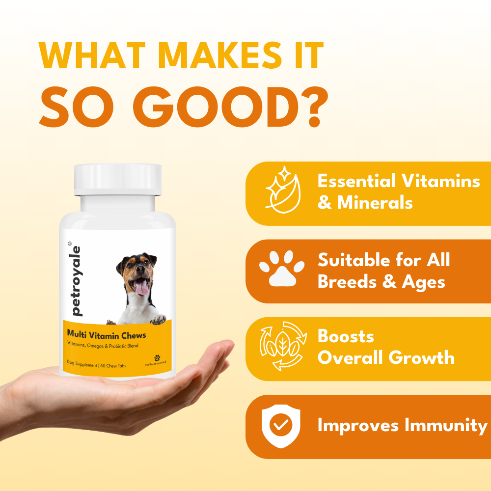 Multivitamin Chews for Dogs