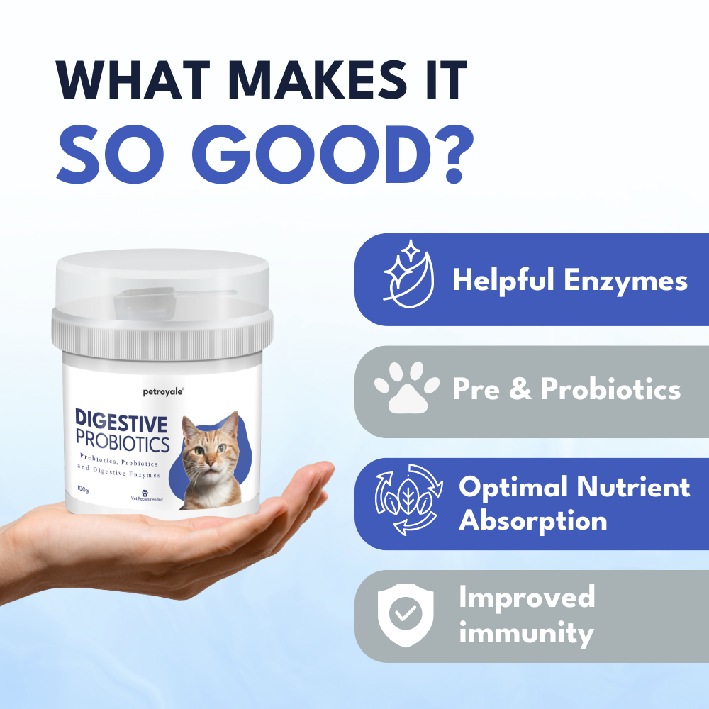 Digestive Probiotics for Cats