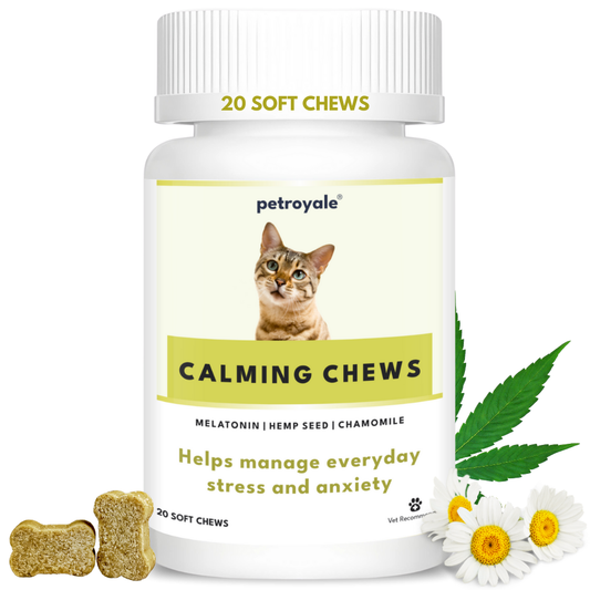 Calming Chews for Cats